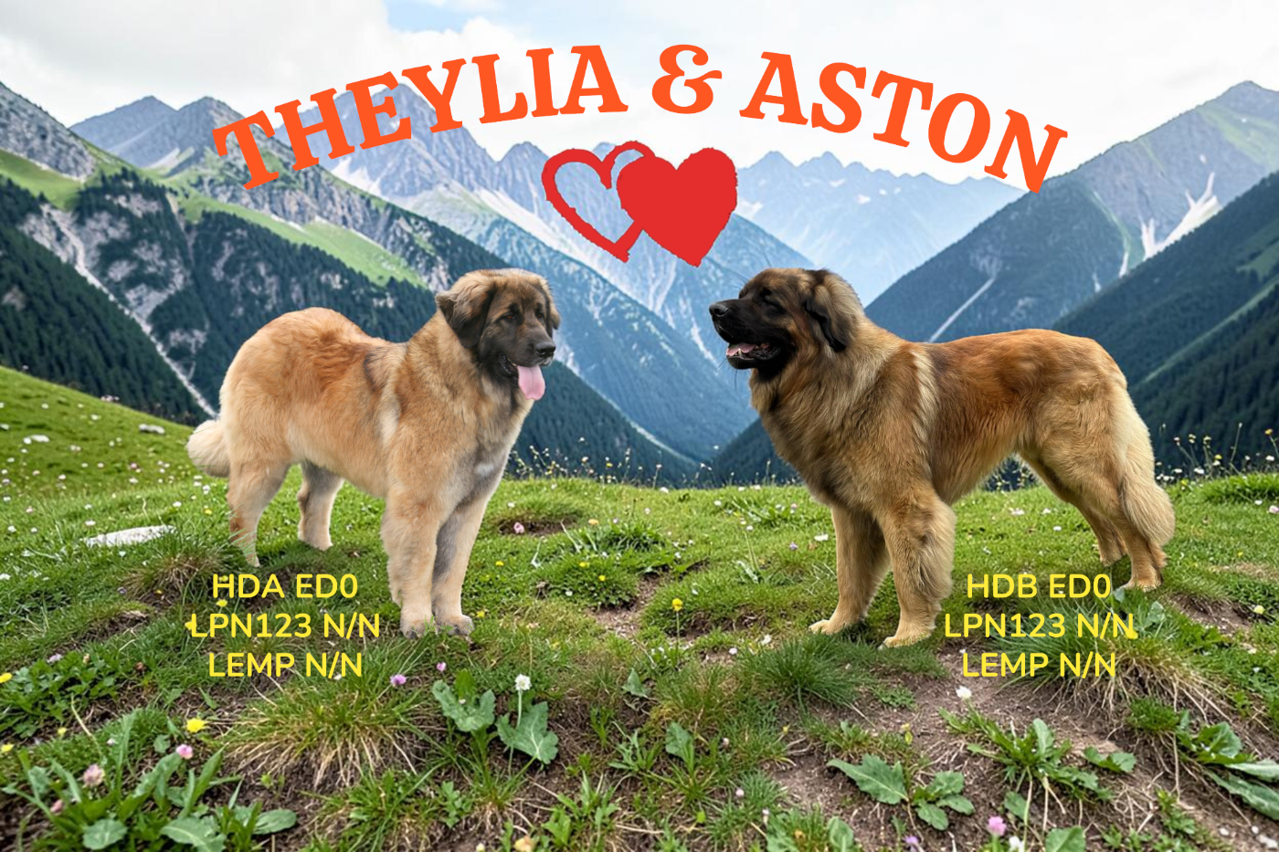 SAILLIE THEYLIA ET ASTON FAIT DEBUT AVRIL