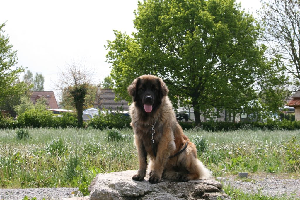 Olympe