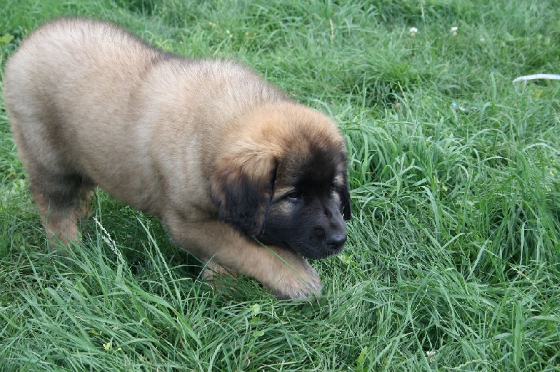 Maddy